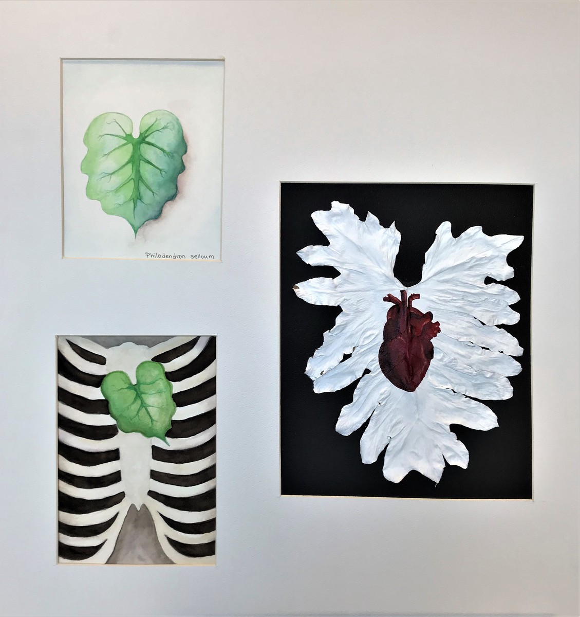 Student:  Jillian Rodriquez
   Medium:  Watercolors on paper and Acrylic painting on preserved leaf
  Dimension: 27