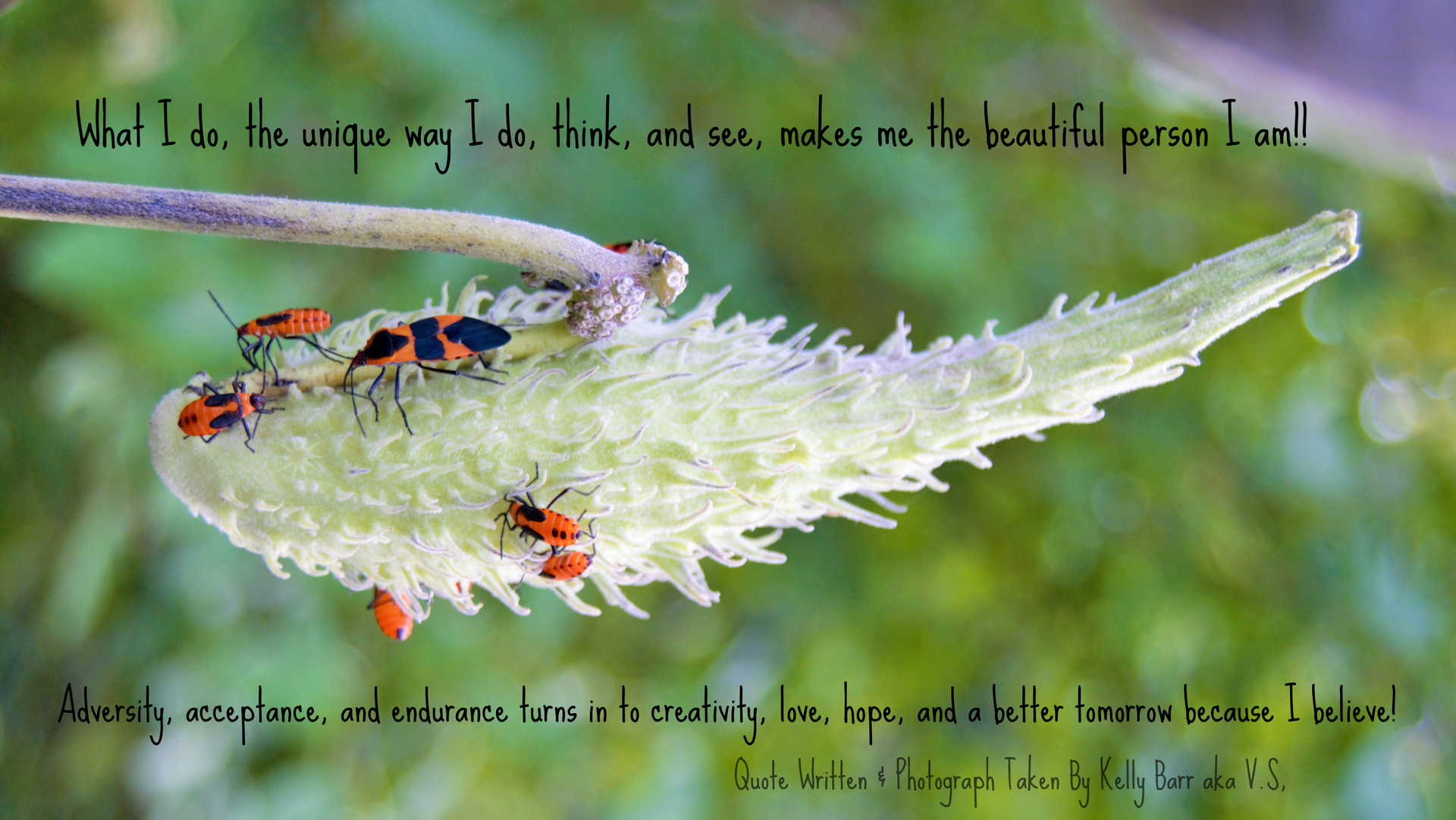 We are designed to be a part of each living being. Every living being and environment is precious, irreplaceable, and beautiful. It's a choice to see the beauty that surrounds us. By Kelly Barr