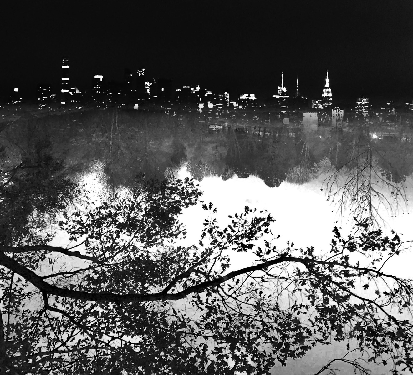 Student: Paulina Lucio
   Medium AND Materials: Ink Jet Print
   Dimensions: 10