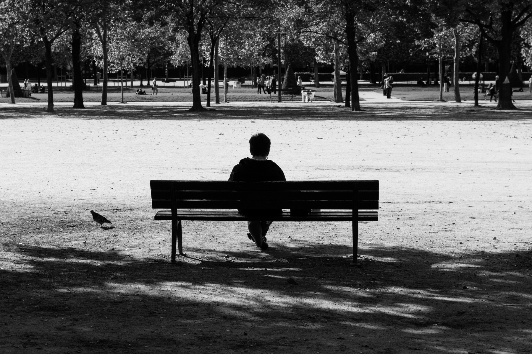 Champ de Mars, 8th October 2015