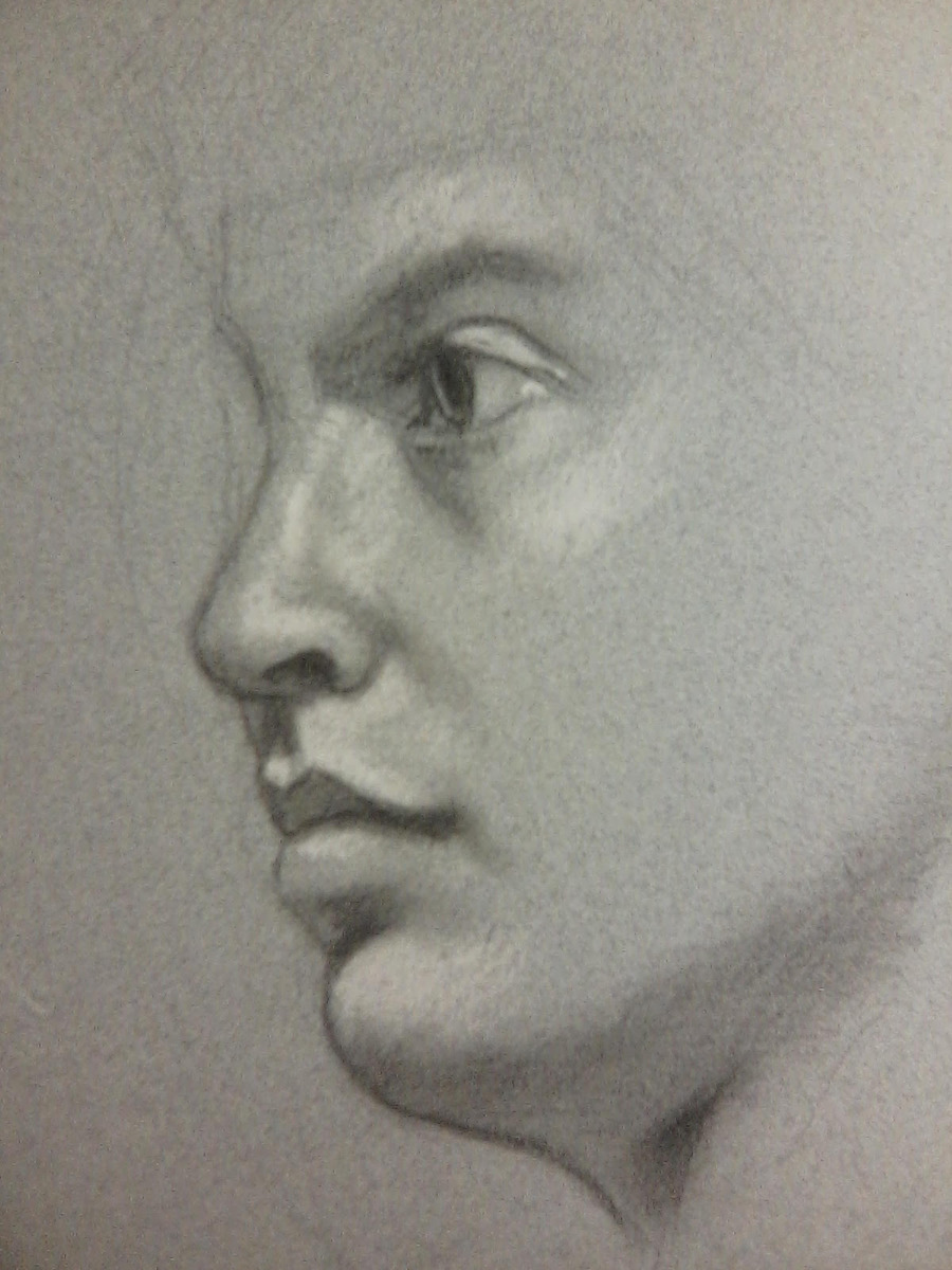 Drawn at Old Hyde Park Art Center in Tampa, FL