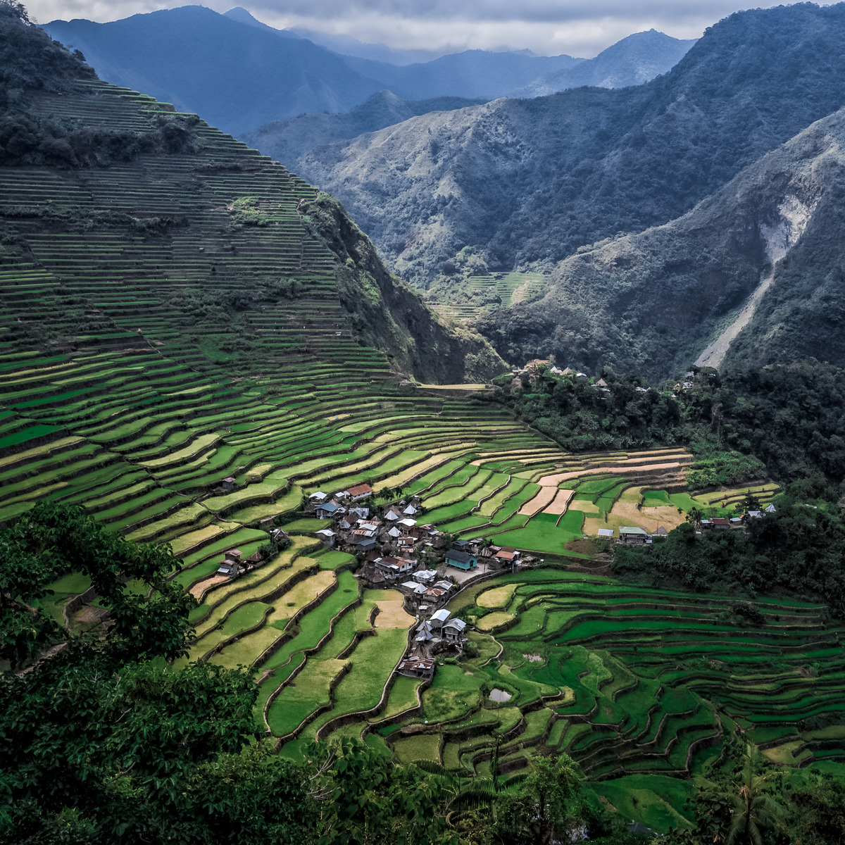 Batad, Ifugao, Philippines 